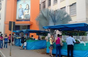 Feira orgânica